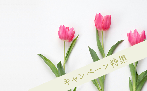 キャンペーン